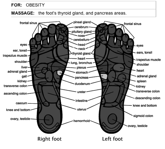 Reflexology for Weight Loss image 1