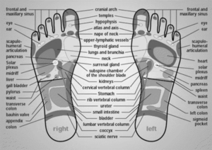 Reflexology for Swollen Glands - how-to-do-reflexology.com