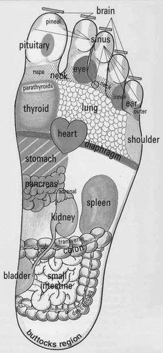 5 easy to learn Reflexology Foot Maps image 2