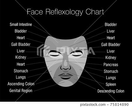 Face Reflexology chart image 2